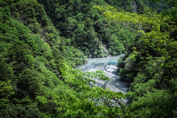 绿源环保公益短剧《地球守护者》 绿源环保公益短剧《地球守护者》 - 韩漫剧场客户案例展示